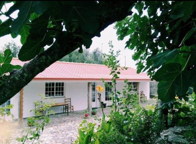 Casa Boavista Villa Paredes de Coura Kültér fotó