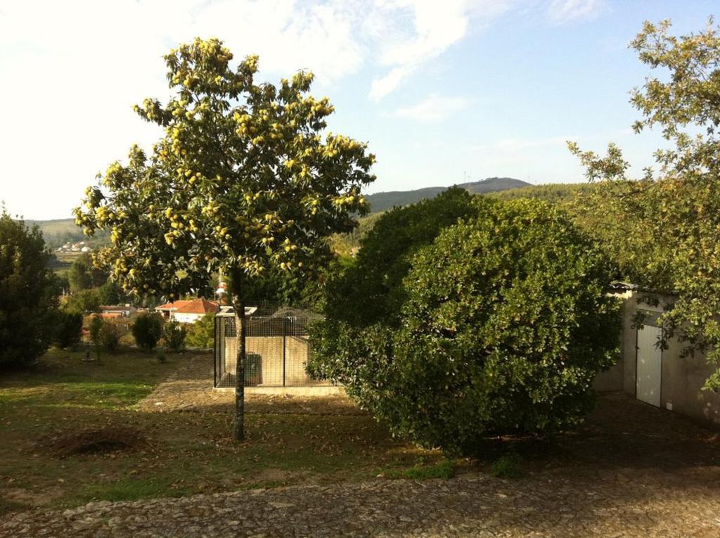 Casa Boavista Villa Paredes de Coura Kültér fotó