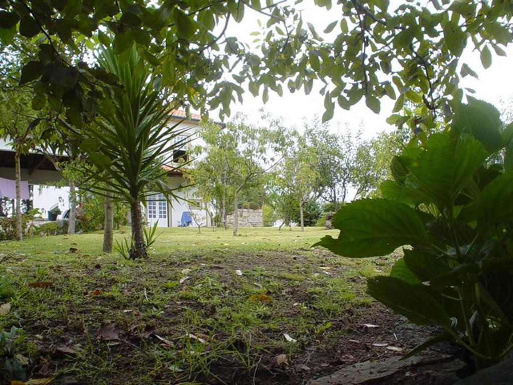 Casa Boavista Villa Paredes de Coura Kültér fotó